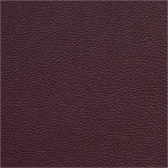 Symphony Classic Malbec